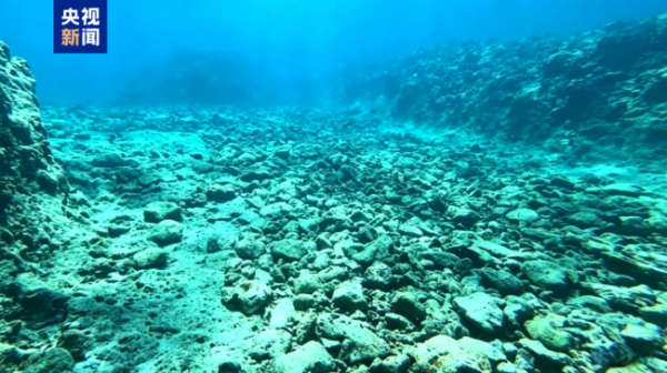炒股配资平台网站 自然资源部：2025年南海区海洋生态状况总体稳定