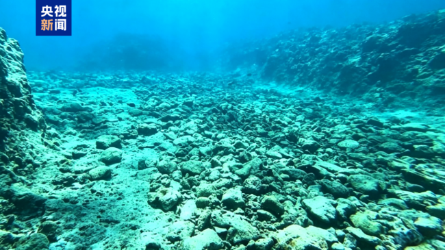 自然资源部：2025年南海区海洋生态状况总体稳定