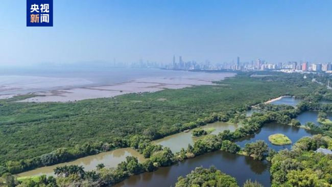 自然资源部：2025年南海区海洋生态状况总体稳定